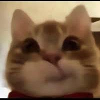 Ya en stream!!
🌟VALO Y MINE🌟
twitch.tv/mochi9706