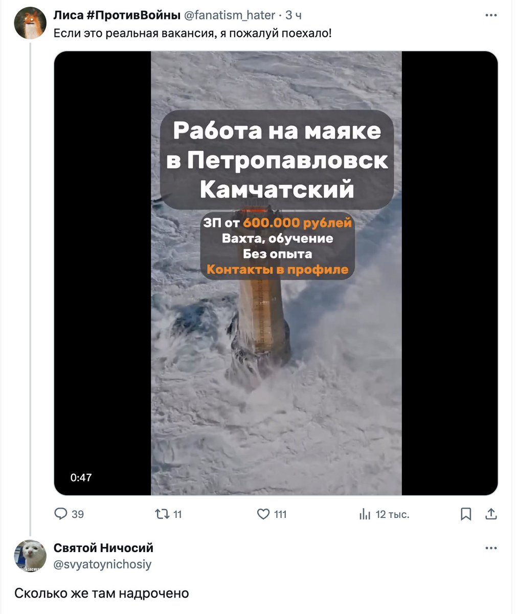 Ittarma's tweet image. твиттер