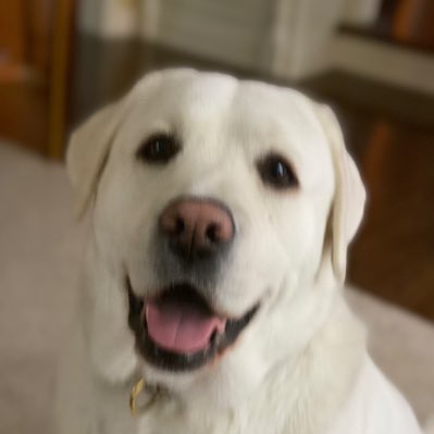 RitterKristin's tweet photo. #NewProfilePic https://t.co/nRkvvUUcQj