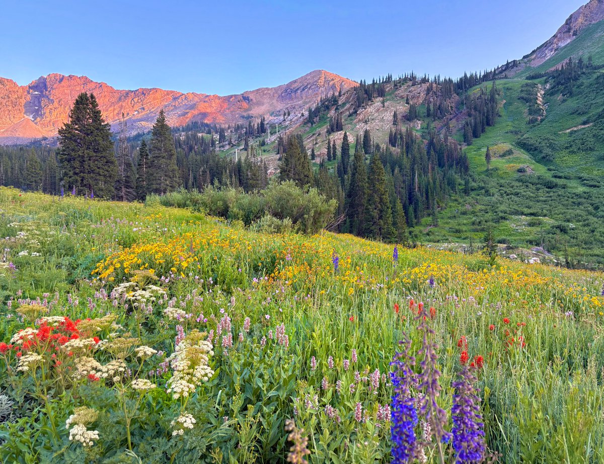 H_Schoenbaum's tweet image. This is a PSA that you should go hiking after work this summer (for best results, do it in Utah)