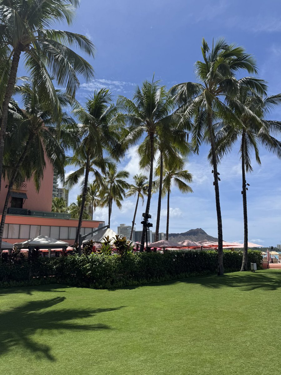 demofoxx's tweet image. First stop of the trip in Hawaii next Japan 😎⭐️