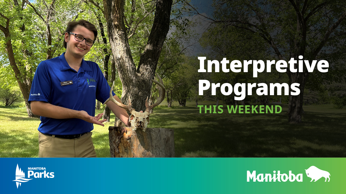MBGovParks's tweet image. Join a Park Interpreter this weekend to learn and discover in provincial parks! Find program details here: bit.ly/4lTLC9V
#ManitobaParks