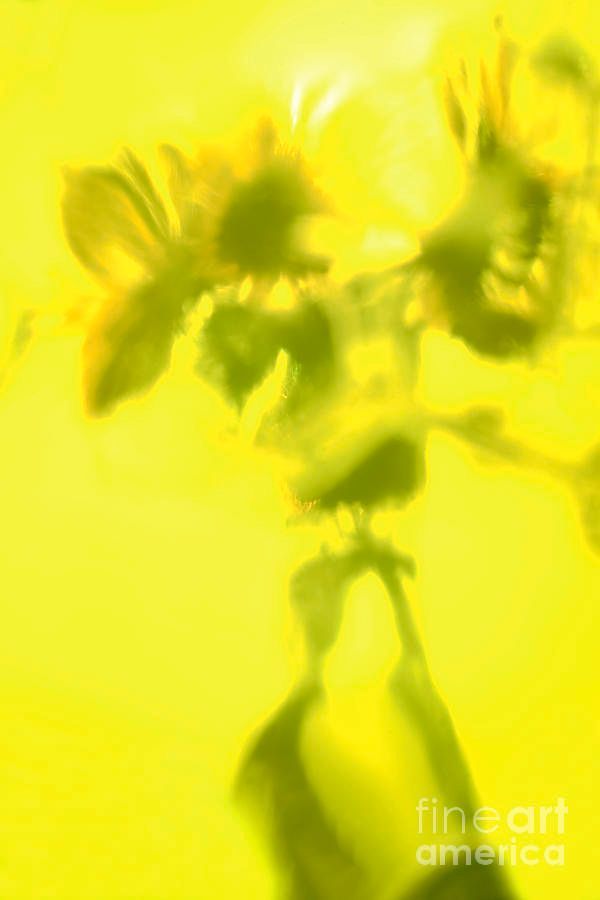 photographervin's tweet image. #SUNFLOWERS alexander-vinogradov.pixels.com/featured/sunfl…
#abstract #avinogradovflowers #photographyisart #nature #AlexanderVinogradov #photoghraphy #flower #floralart #beautiful #print #giftidea #buyintoart #ArtSale #wallart #YearforArt #ArtLovers #BeautyinArt #FlowersOnX #garden #fineartphotography