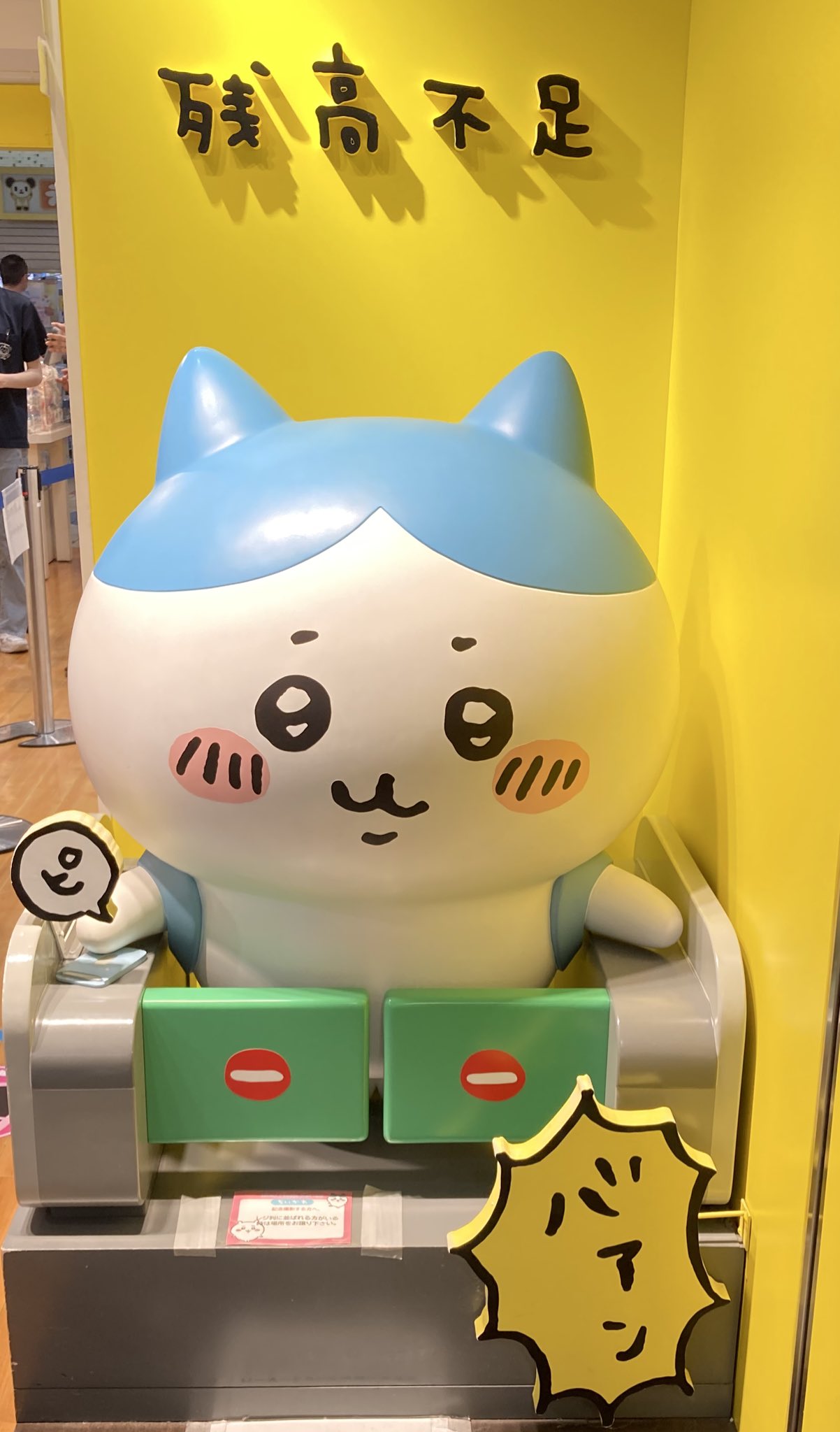 たぬき猫🌻 on X: 