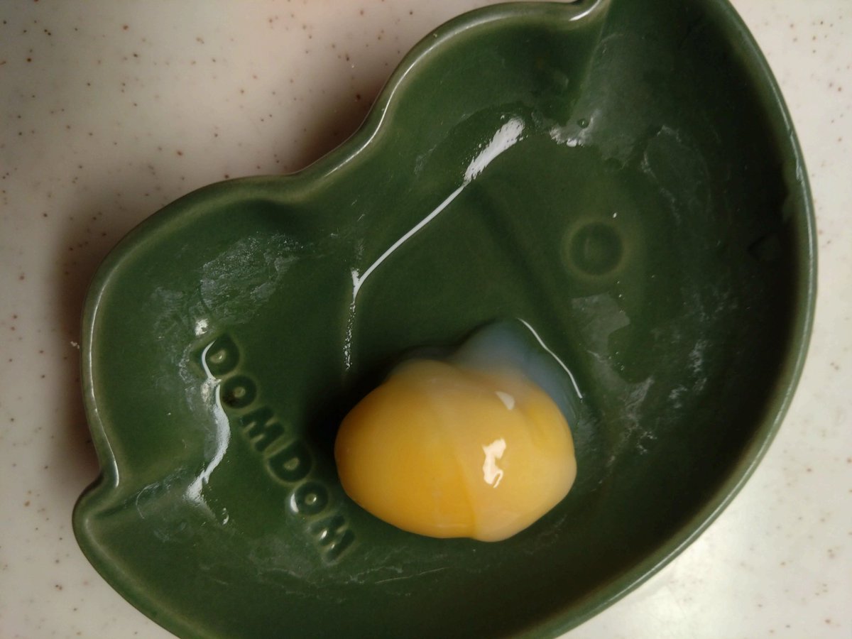 testudo216's tweet image. #アカミミガメ
前からやってみたかった亀卵の試食
いくら加熱しても白身は固まらず温泉卵のよう
黄身は「臭くて油っぽくとても食べられない」とも聞いてたが、特に嫌な感じはなく、少しザラついた、まるで一度裏ごしして固めた様な食感
鶏卵より濃厚でウズラやアヒルに近い、普通に食べられる