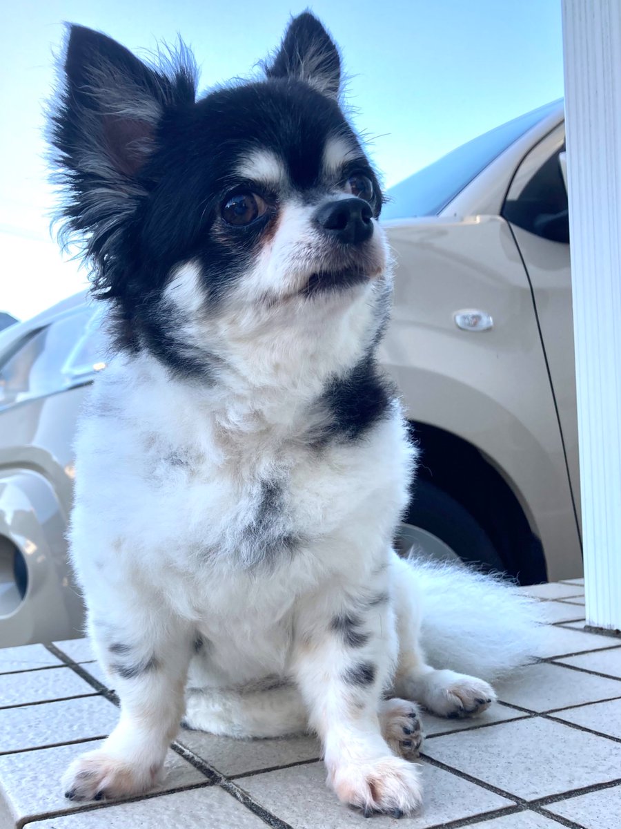 おはようモーニング😃
今日も熱々ですね。
今日一日頑張って
いきましょう！