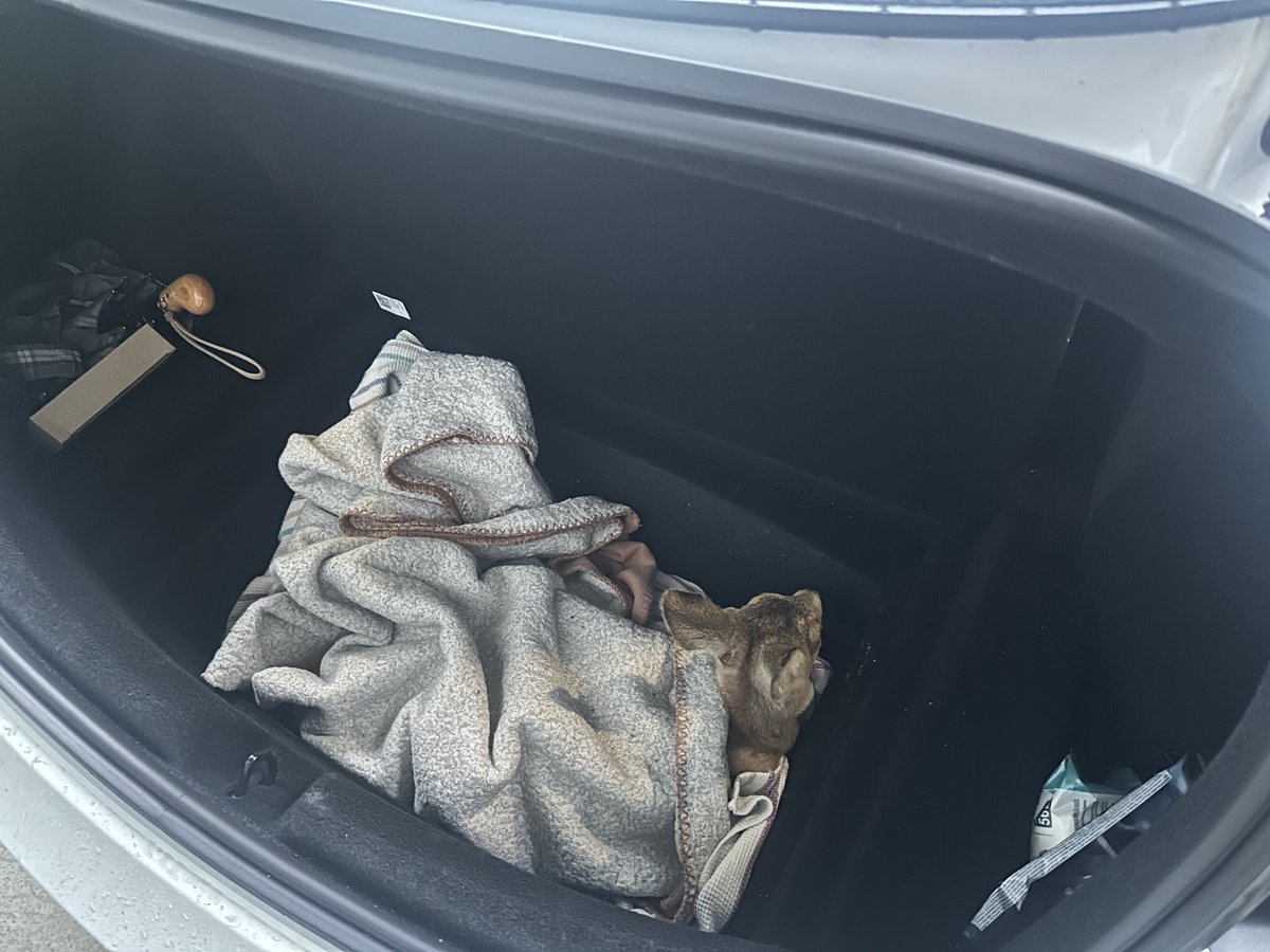 Domča  tweet media