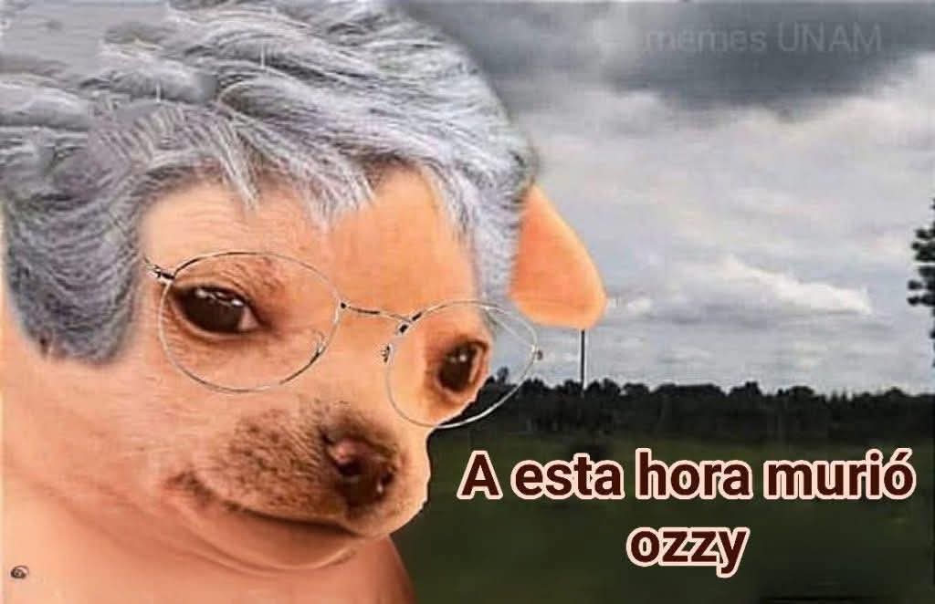 HugoValensi's tweet image. *Se nubla un poquito.*

Yo en unos años: