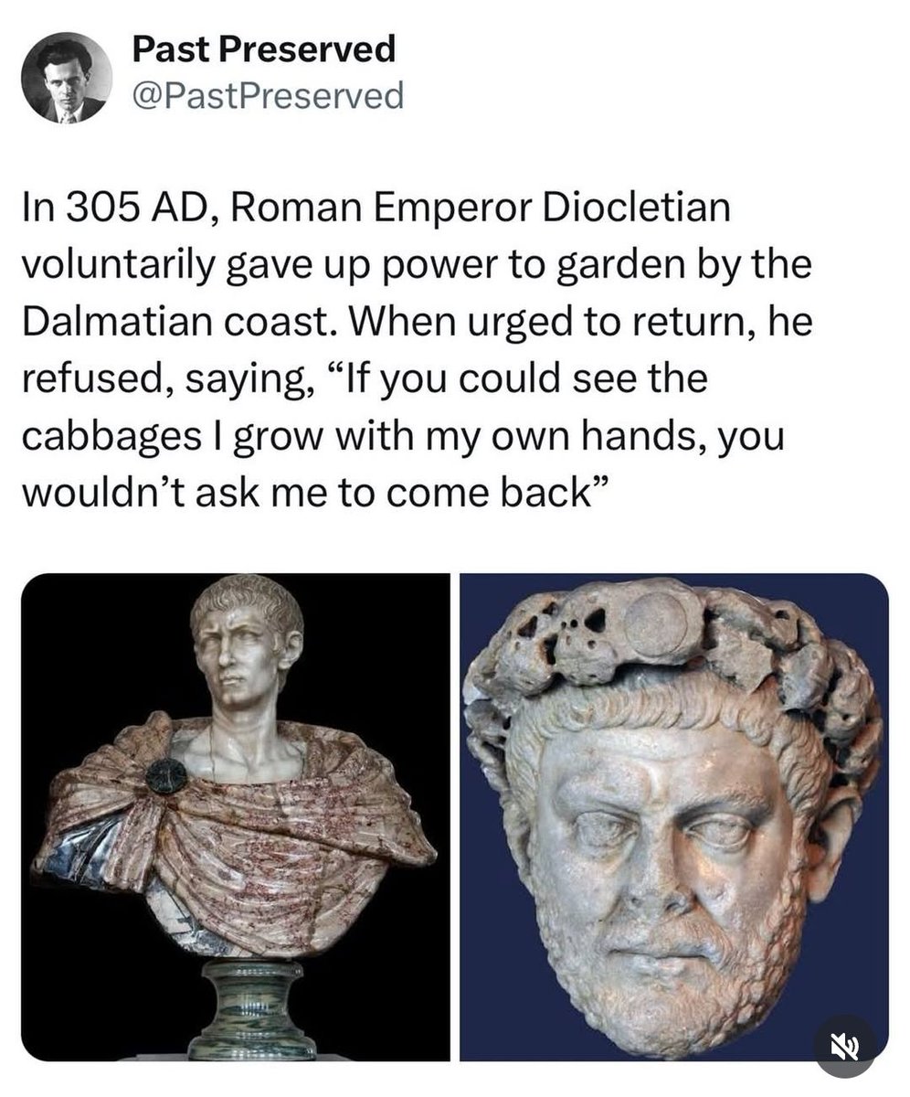 Everyone needs to be a bit more like Diocletian