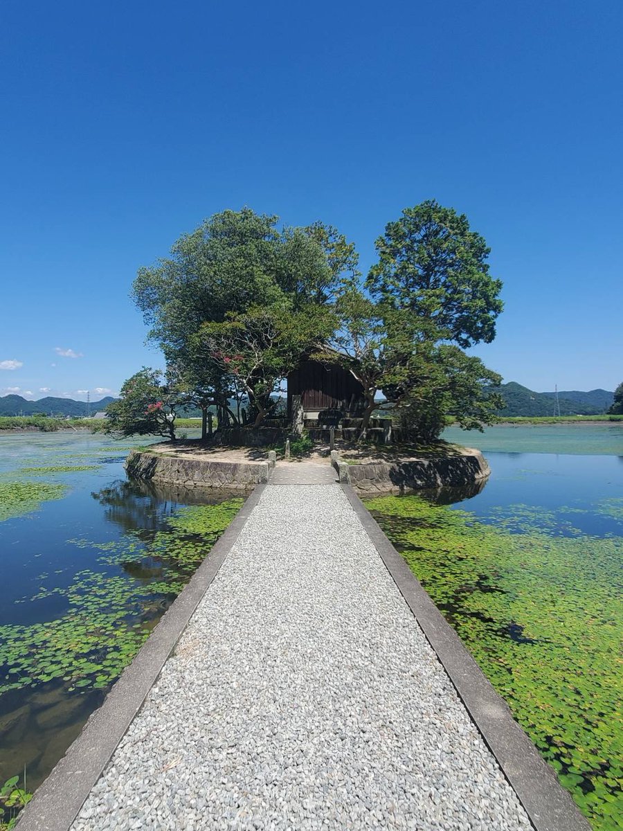 k_tamago_power's tweet image. 【須濱神社(洲濱神社)】
元和3年(1617)林田藩祖・建部政長が干害対策として水路とともに築いた西池(鴨池)は、林田八景の一つなんだそうで⛩️✨その際に須濱形の小島を築き「市杵島姫神(いちきしまひめのかみ)」を祀ったといわれるのだそう😊
