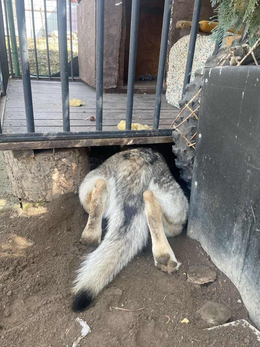 don’t bother me i’m diggin