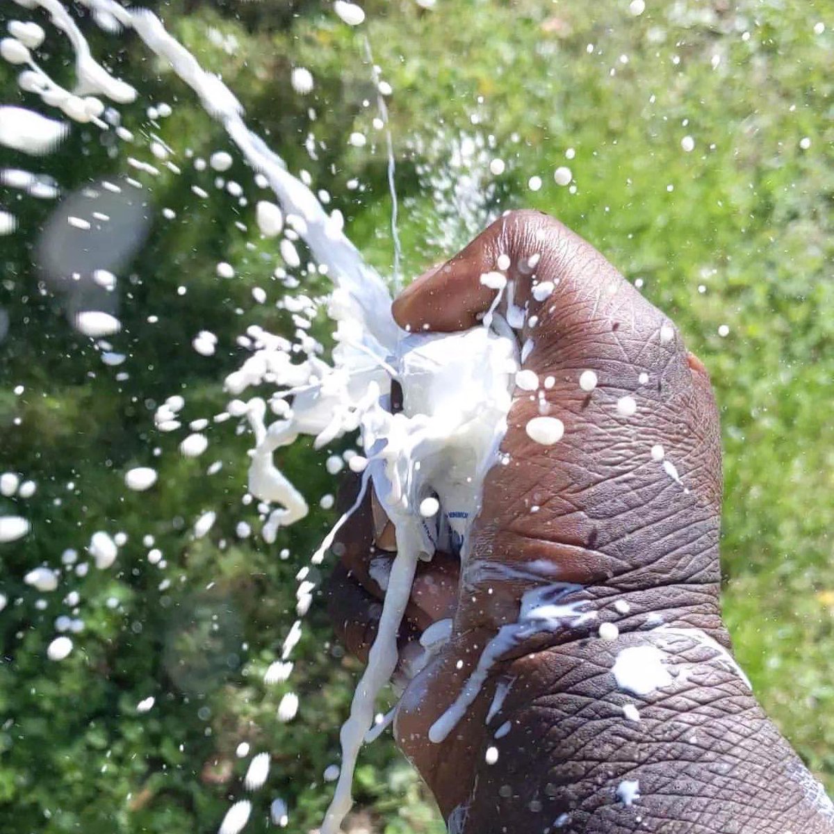 Gripping Food With Force (@grippingfoods) on Twitter photo 