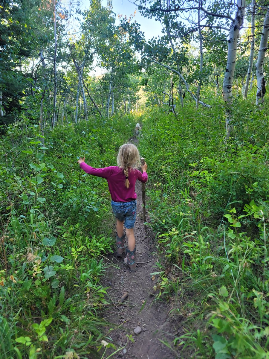 ExtraSaltedNuts's tweet image. Adventure awaits!
This has been the second good camping trip with the kids, so I am feeling justified in buying more gear for them.