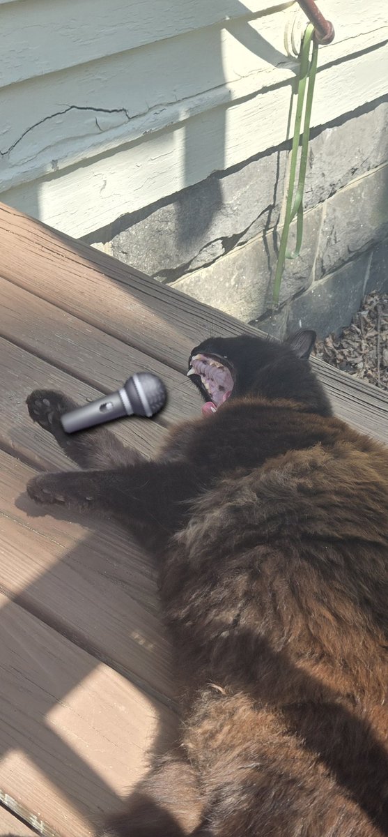 probably_ayla's tweet image. generals gathered in their massesssss
just like black cats at witch massessss