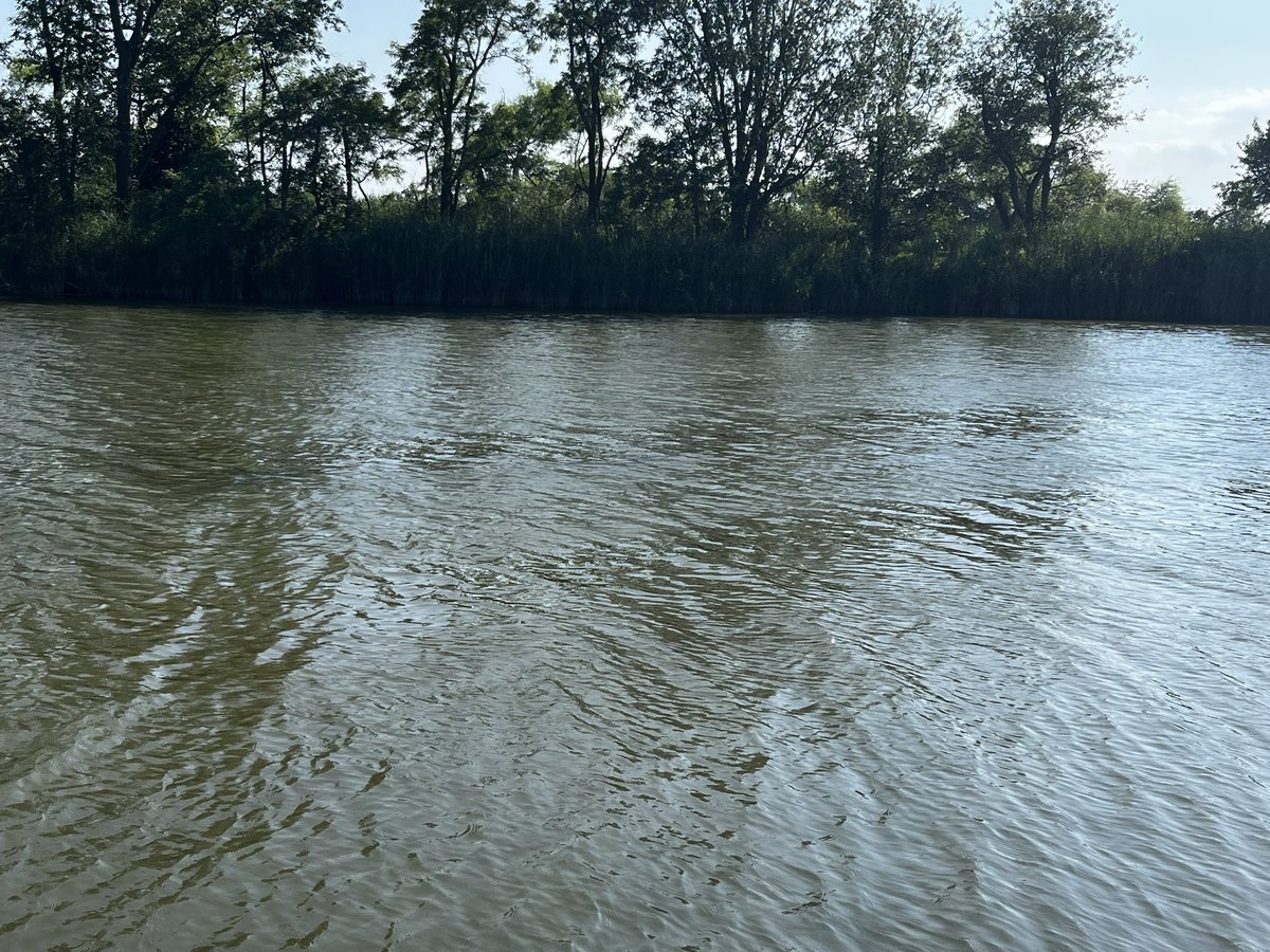 GSwarming's tweet image. Peace Full