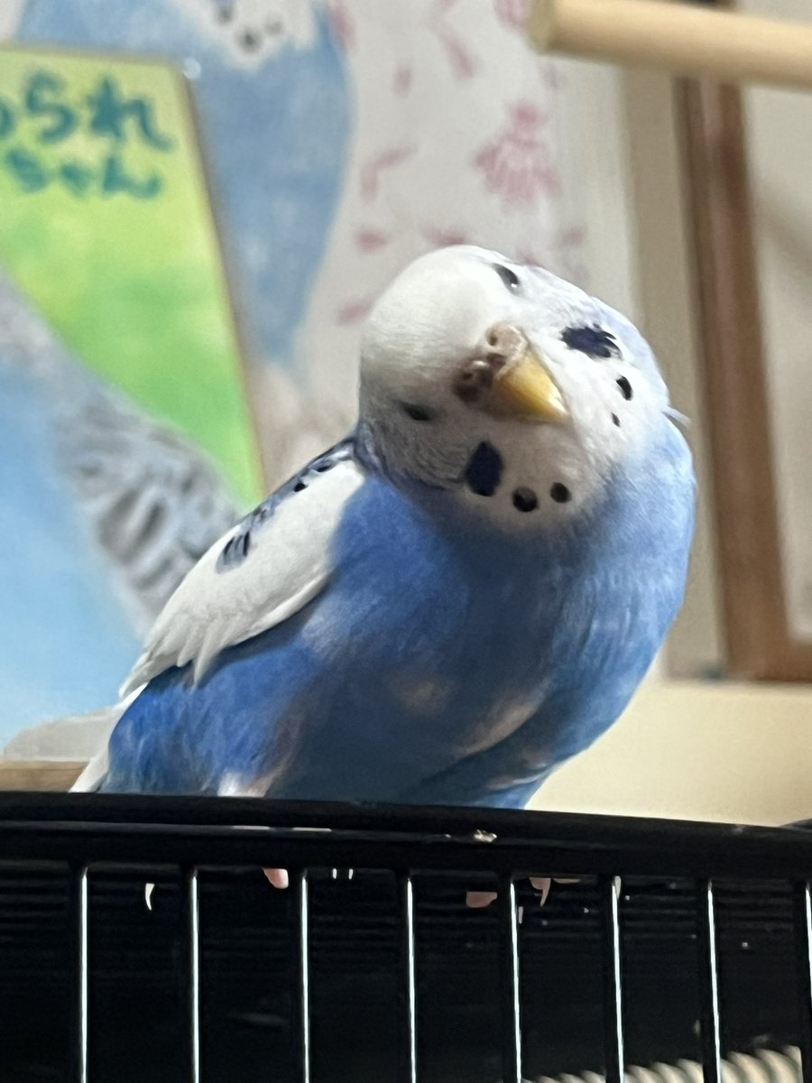 皆様☘️おはようございます*˙︶˙*)ﾉ"
金曜日❣️今日頑張れば休み💪
それにしても蝉ちゃんの大合唱が暑さを倍増させる🥵良き一日を💓😊