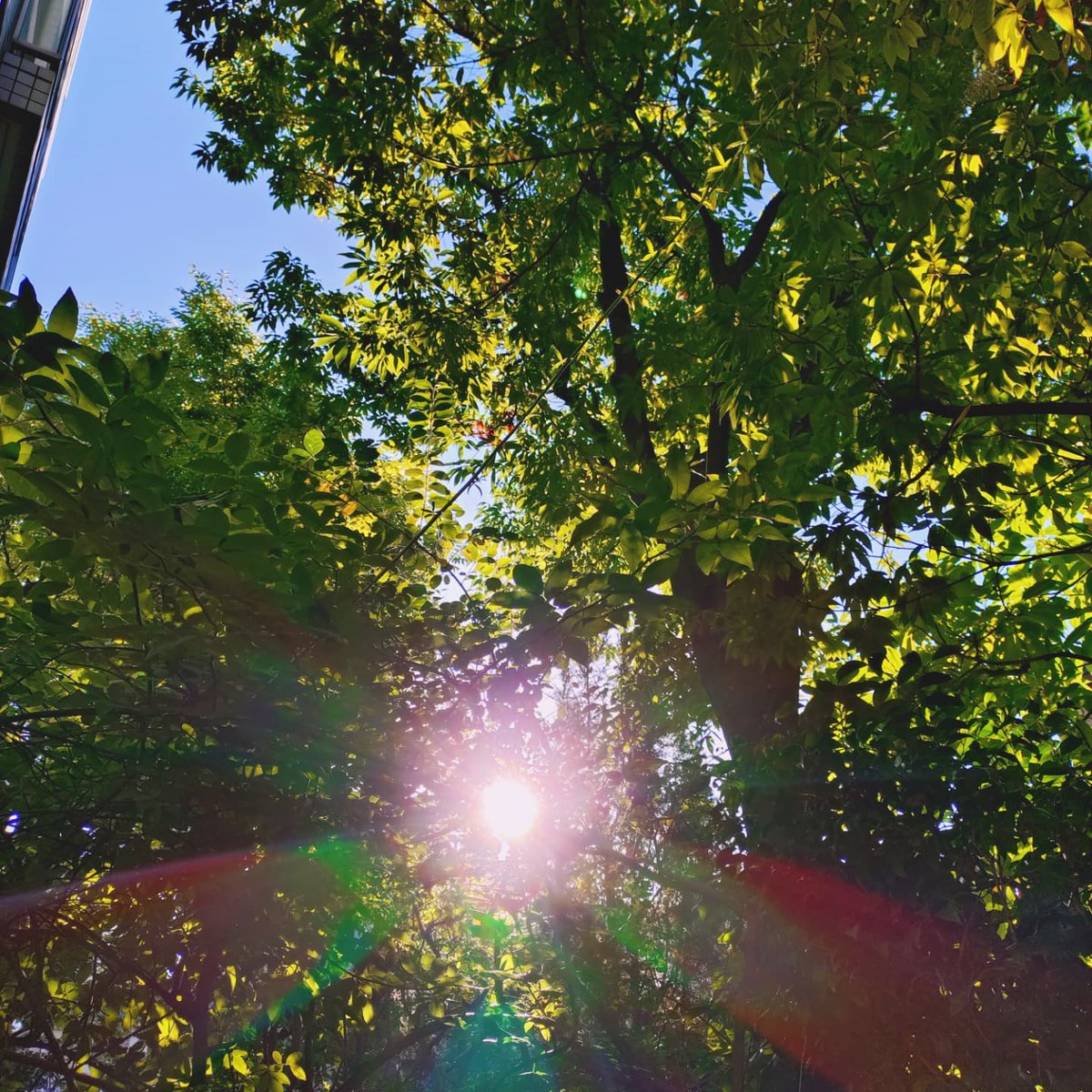 jun_mitsuyasu's tweet image. おはようございます☀️
今日( 7月25日(金) )は晴れてます☀️
体調には十分に気をつけて、今日も頑張りましょ~✨