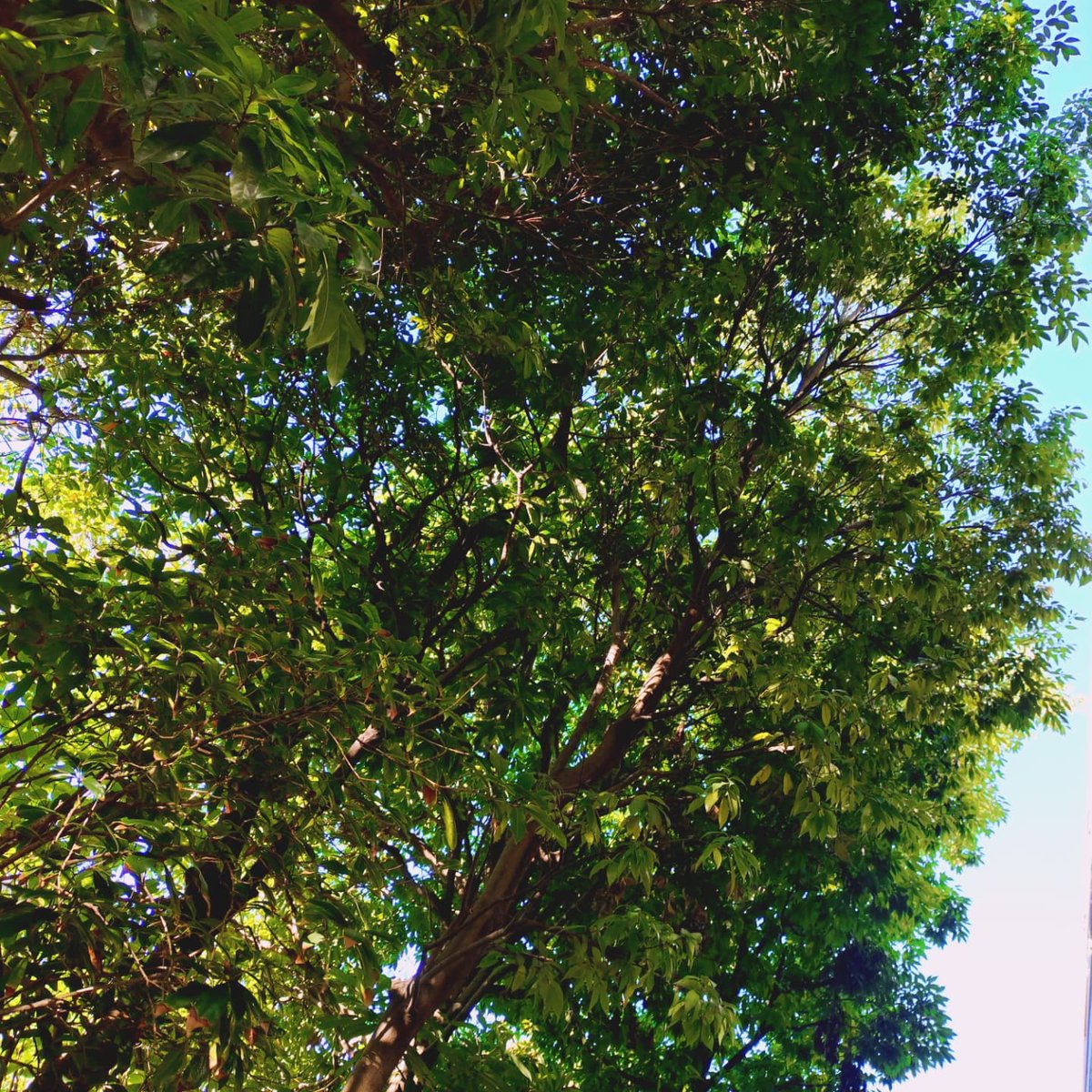 jun_mitsuyasu's tweet image. おはようございます☀️
今日( 7月25日(金) )は晴れてます☀️
体調には十分に気をつけて、今日も頑張りましょ~✨