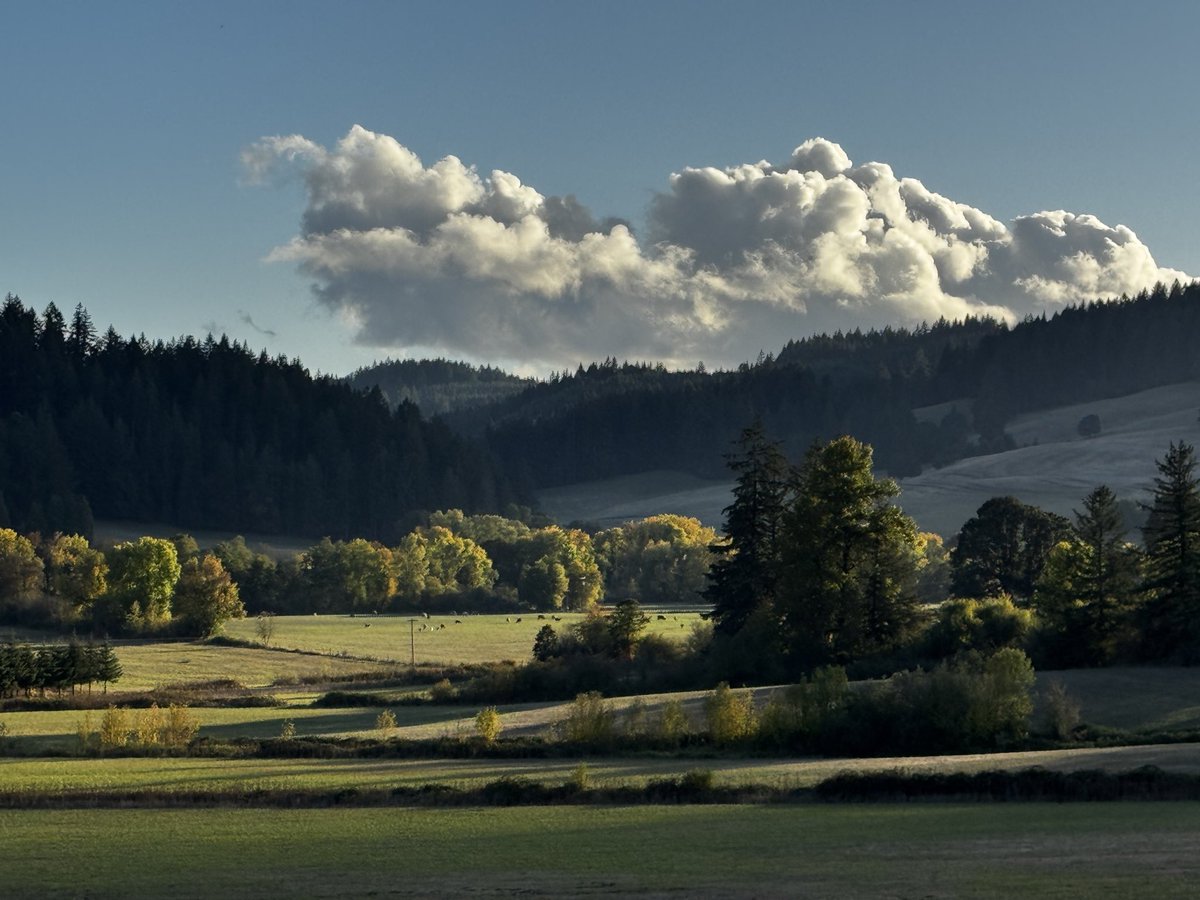 dreamwieber's tweet image. It's funny because I've been thinking a lot this week about how Starlink has really made my work here possible – from a farm in Oregon.
The outage today was notable in the sense that the service has been remarkably stable for a LONG time now.
Back online here 🛰️