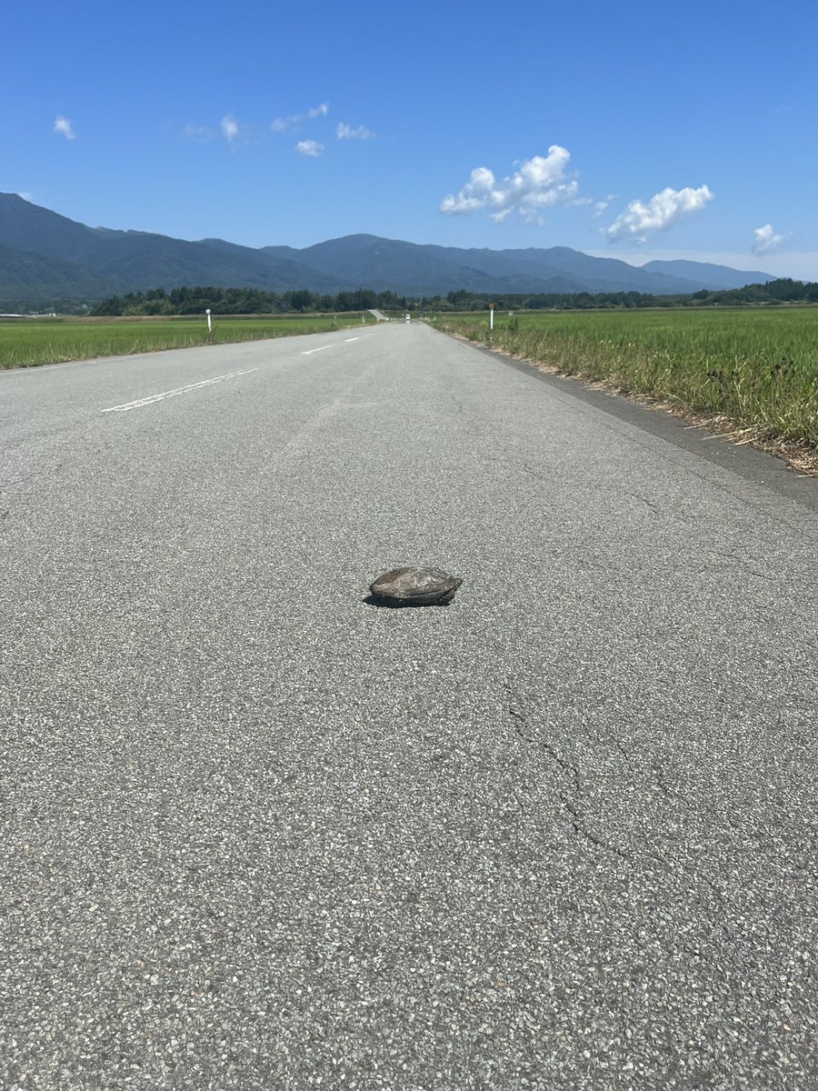 キース tweet media