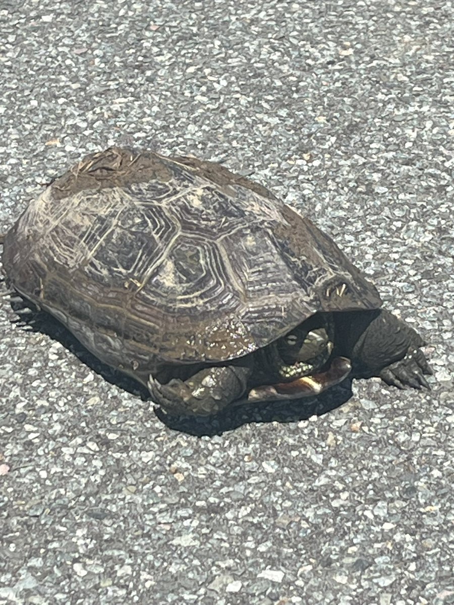 キース tweet media