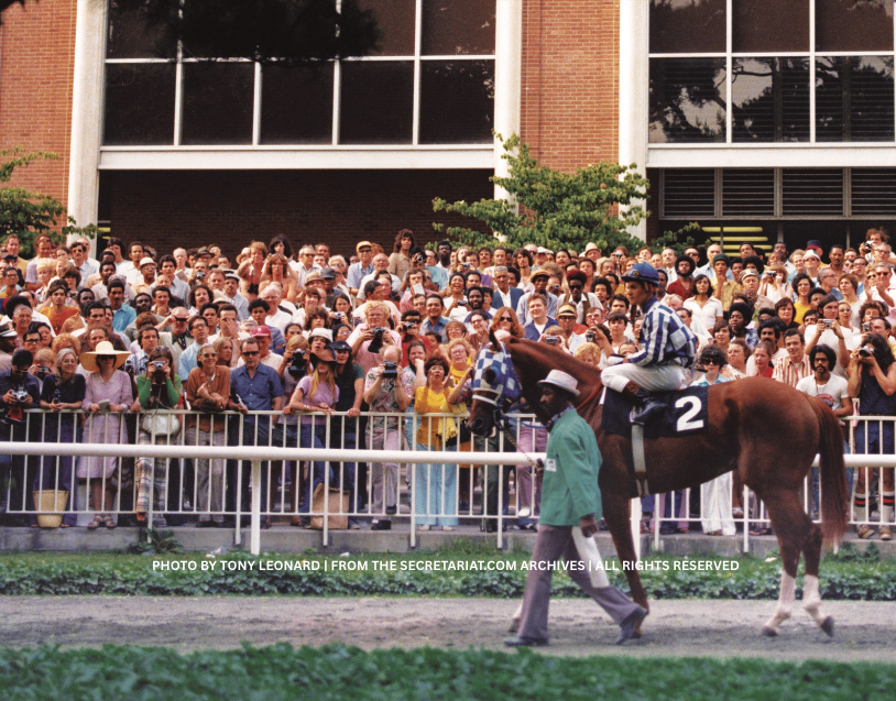 June 9, 1973: Secretariat before the #BelmontStakes with jockey #RonTurcotte and groom #EddieSweat. Photo by Tony Leonard.

#ThrowbackThursday #BelmontPark #Secretariat #FacesInTheCrowd #HorseRacingHistory #CrowdPleaser