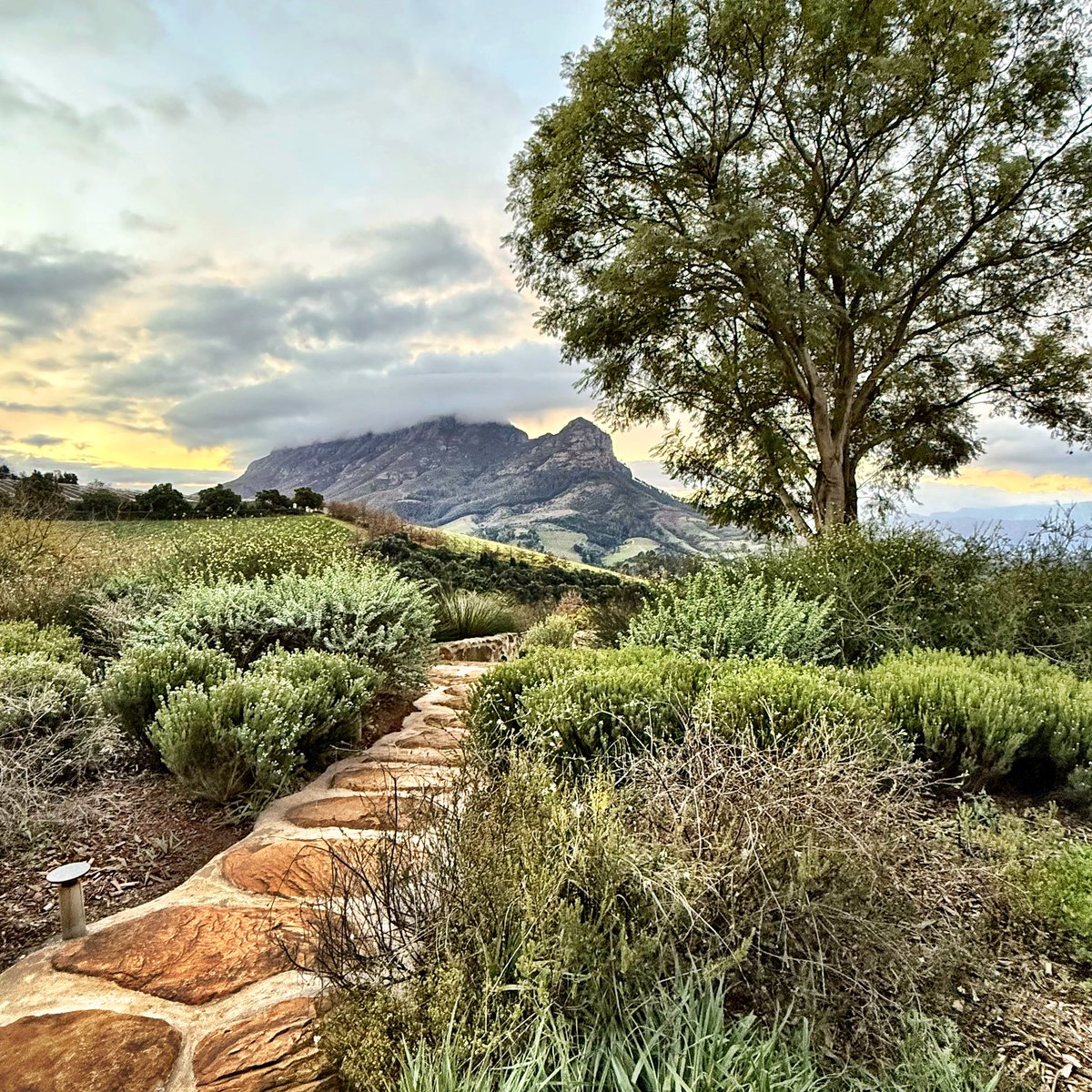 gregsherwoodmw's tweet image. I rarely travel to South Africa in the middle of their winter even though it’s the best time to see big game up north & also taste red wine down south in the Cape around a fire. 🔥 Incredible views, wines & hospitality tonight from Graham Weerts & his team at Capensis. 🍷🇿🇦