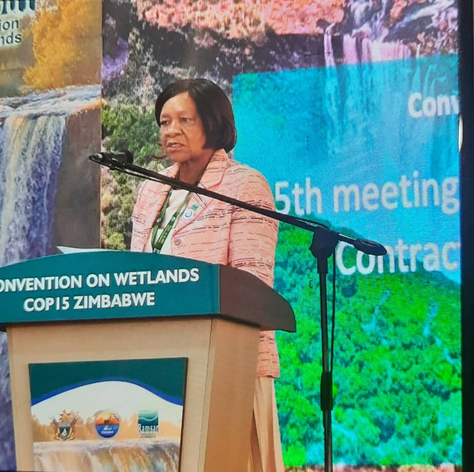 network for environmental and climate justice tweet media