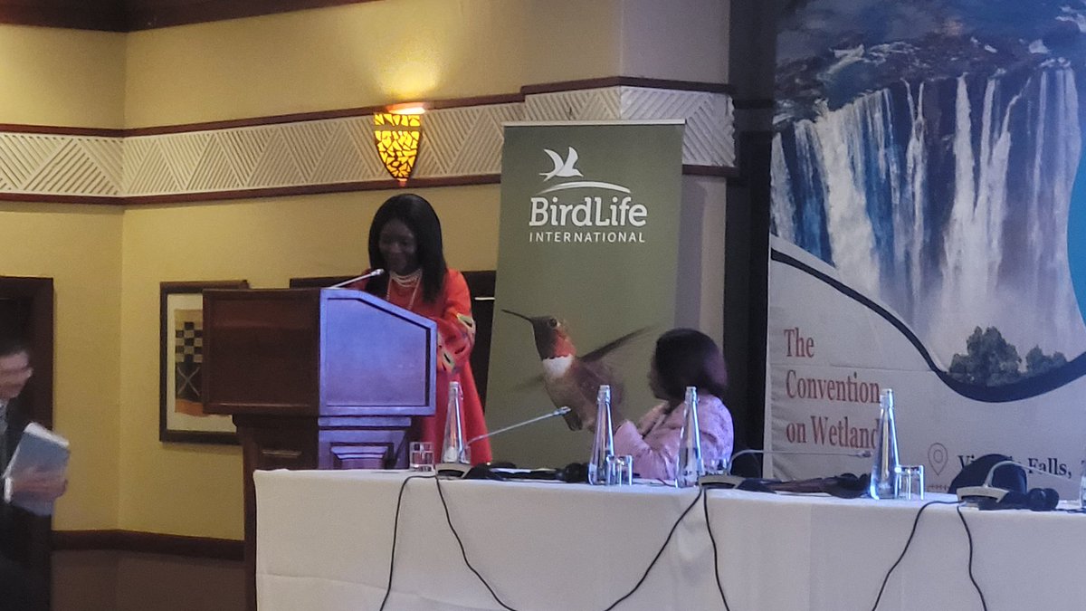 network for environmental and climate justice tweet media