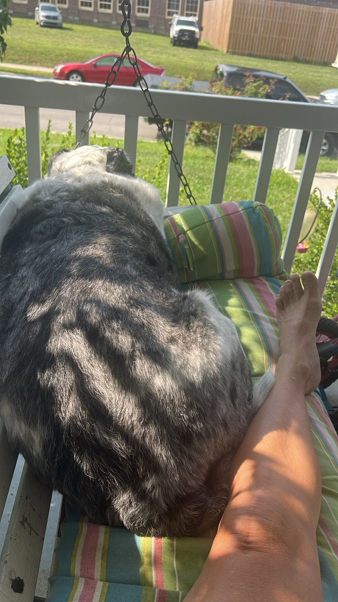 Bdevotedtany's tweet image. Feeling alone with Philly my dog 🐶 #usadogs #uspets