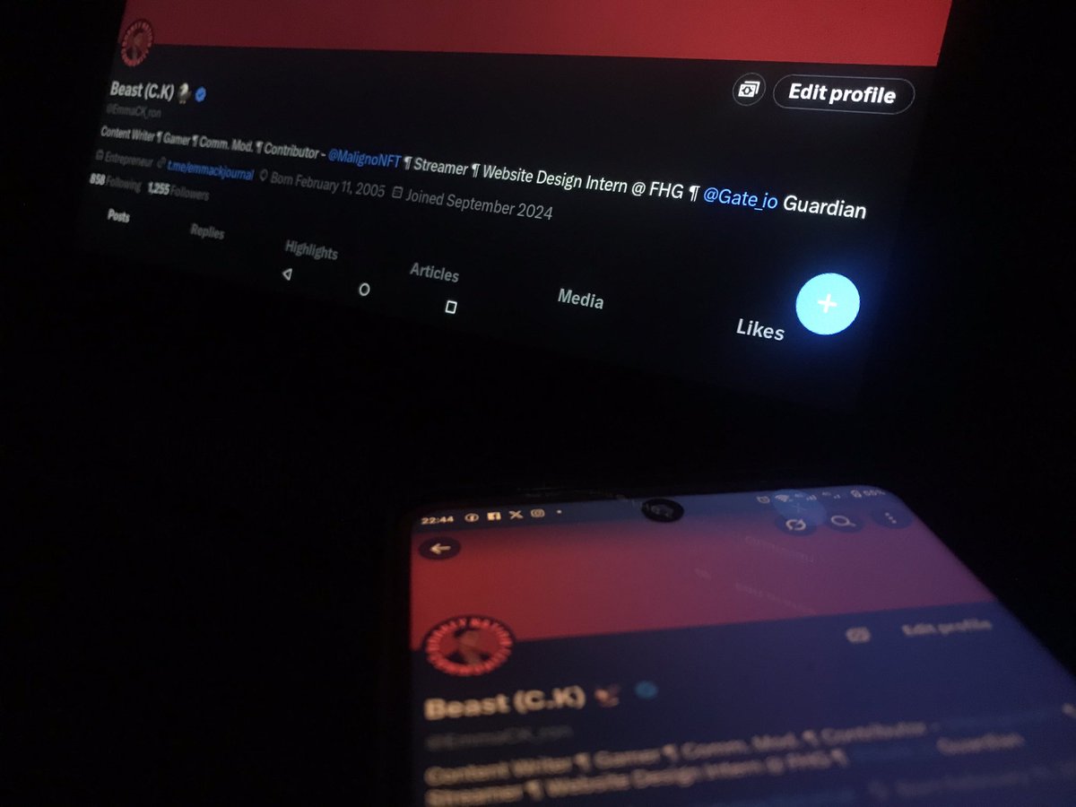 Tweet media one