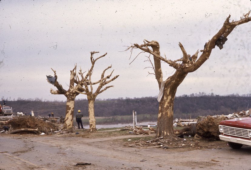 Nick Krasznavolgyi tweet media