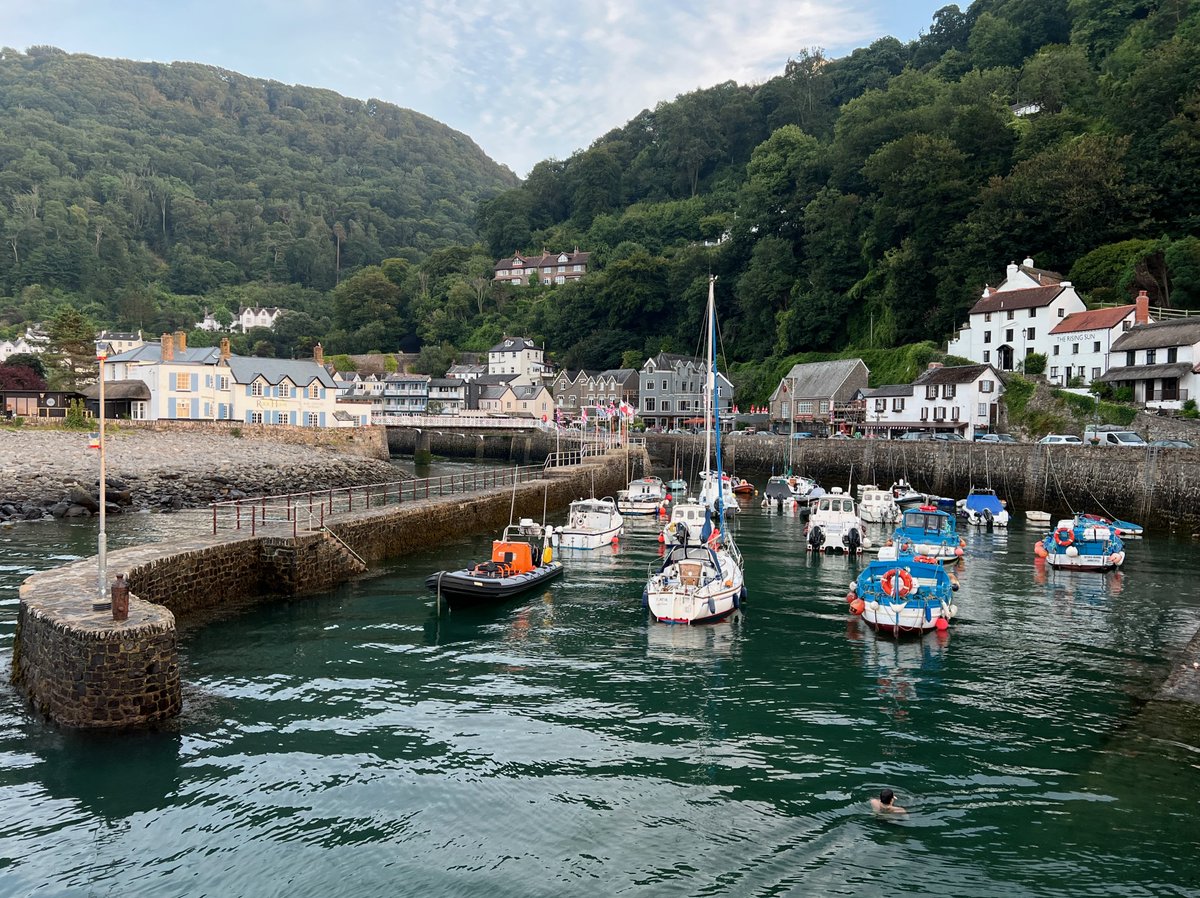 sue_wilkinson's tweet image. A day of contrasts on the Somerset/North Devon border: damselflies on the river Exe; a visiting Shropshire Morris troupe; Lynmouth harbour; and Exmoor ponies in the evening light, with deer behind