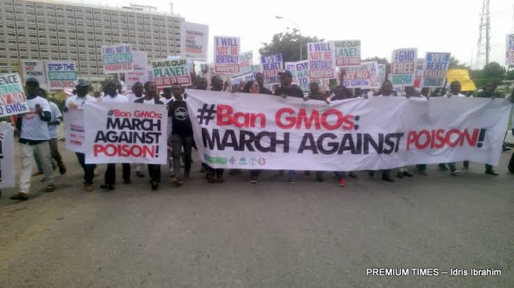IPrinceSaviour's tweet image. Years ago, many Nigerians were unaware of GMO, a poison, but @GRVlagos, with his humanitarian heart, led a 2,000-man march to the Senate in 2017 against it.
We must continue to #NoToGMOInNigeria !