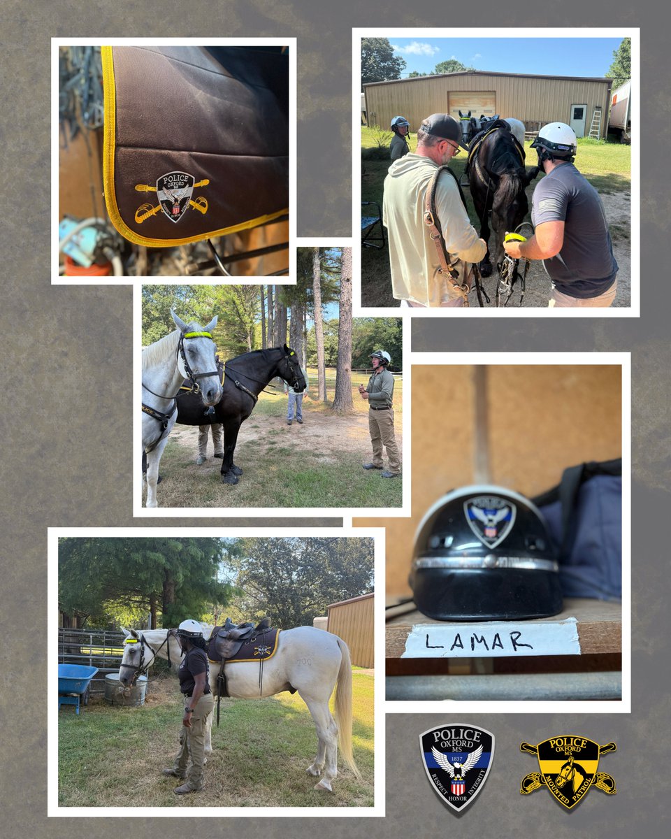 OxfordPolice's tweet image. Training for our newest Mounted Patrol officers. 🏇🚓
From groundwork to riding drills, they’re learning the skills and discipline it takes to serve the community from the saddle. 👮♂️🐴
#OxfordPD #MountedPatrol