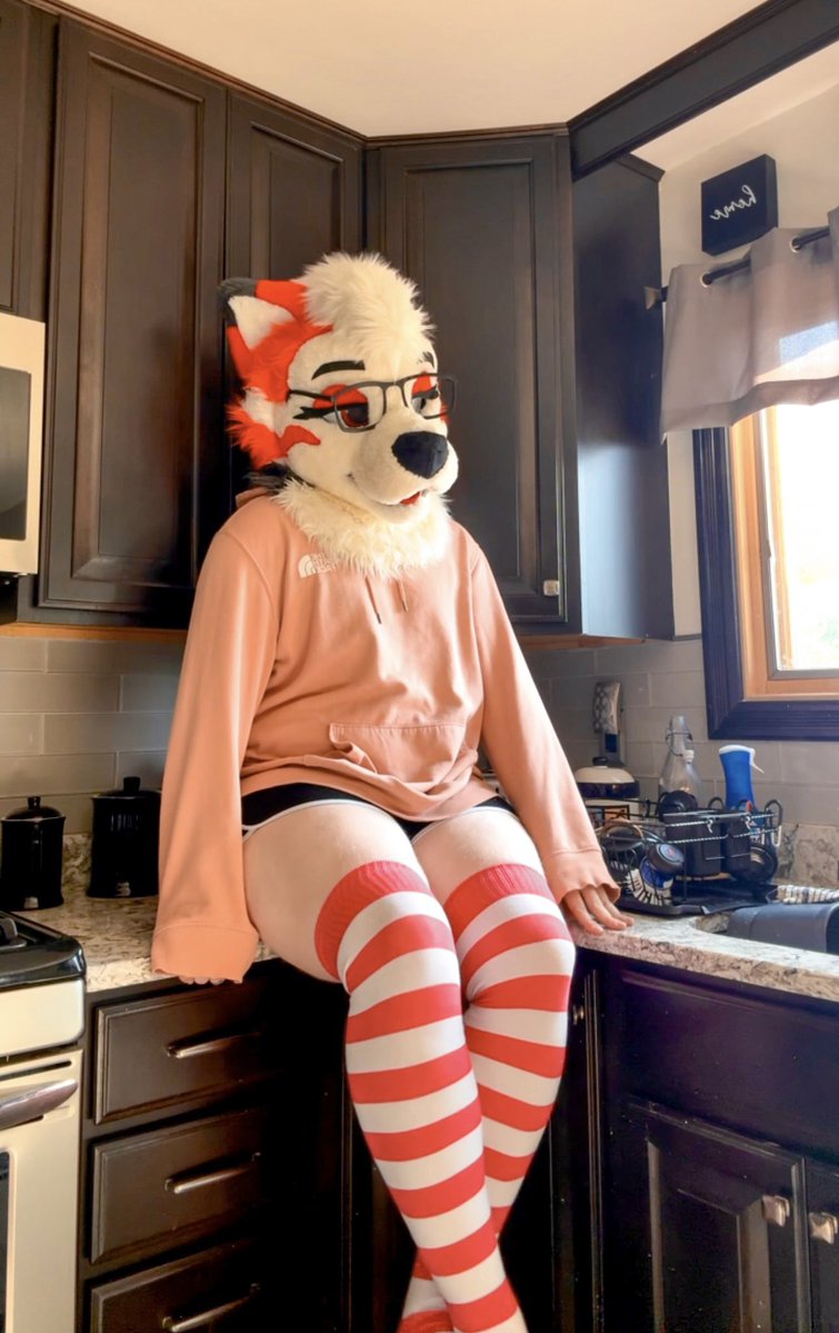 RivalsTheHusky's tweet image. house husky 🌸