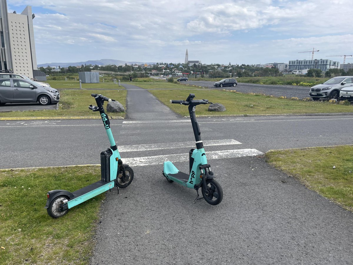 Verst lagða rafskútan (@verstlagda) on Twitter photo 