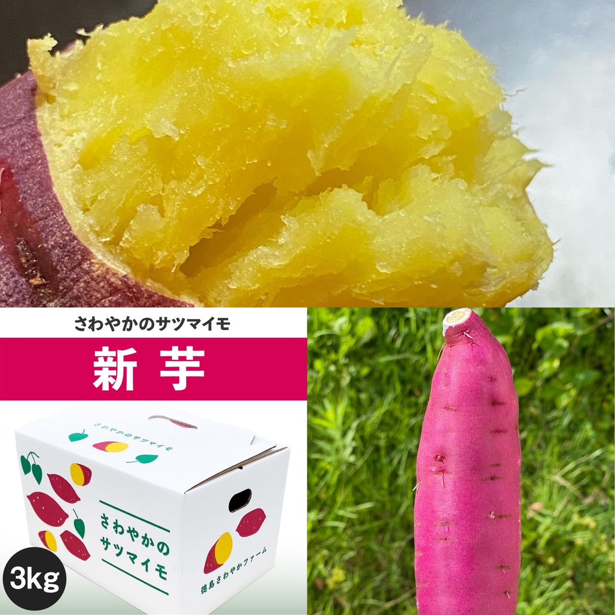 さわやかのサツマイモ🍠 (@satsumaimo77) on Twitter photo 🍠さつまいもプレゼント企画🍠
2025年産「さわやかのサツマイモ」の収穫が始まったのを記念しまして、抽選で1名様に「新芋」1箱3Kg入りをプレゼント致します。
☀︎応募方法☀︎
1️⃣<a href="/satsumaimo77/">さわやかのサツマイモ🍠</a> をフォロー
2️⃣このポストをリポスト
※送料も無料です。
※締切7/27(日)23:59 🍠さつまいもプレゼント企画🍠
2025年産「さわやかのサツマイモ」の収穫が始まったのを記念しまして、抽選で1名様に「新芋」1箱3Kg入りをプレゼント致します。
☀︎応募方法☀︎
1️⃣<a href="/satsumaimo77/">さわやかのサツマイモ🍠</a> をフォロー
2️⃣このポストをリポスト
※送料も無料です。
※締切7/27(日)23:59