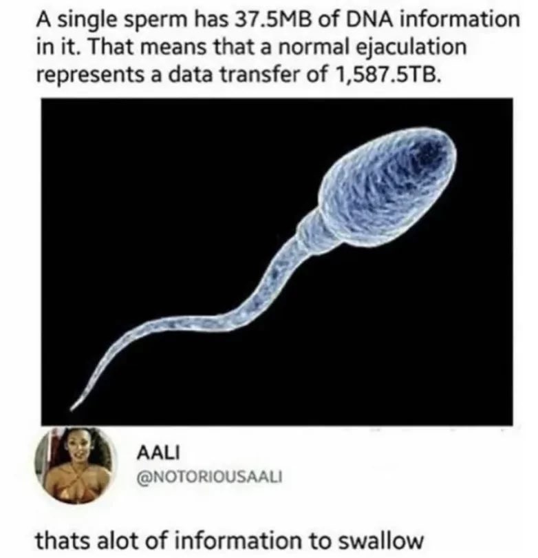 Gwp5DDwXsAAuKkI