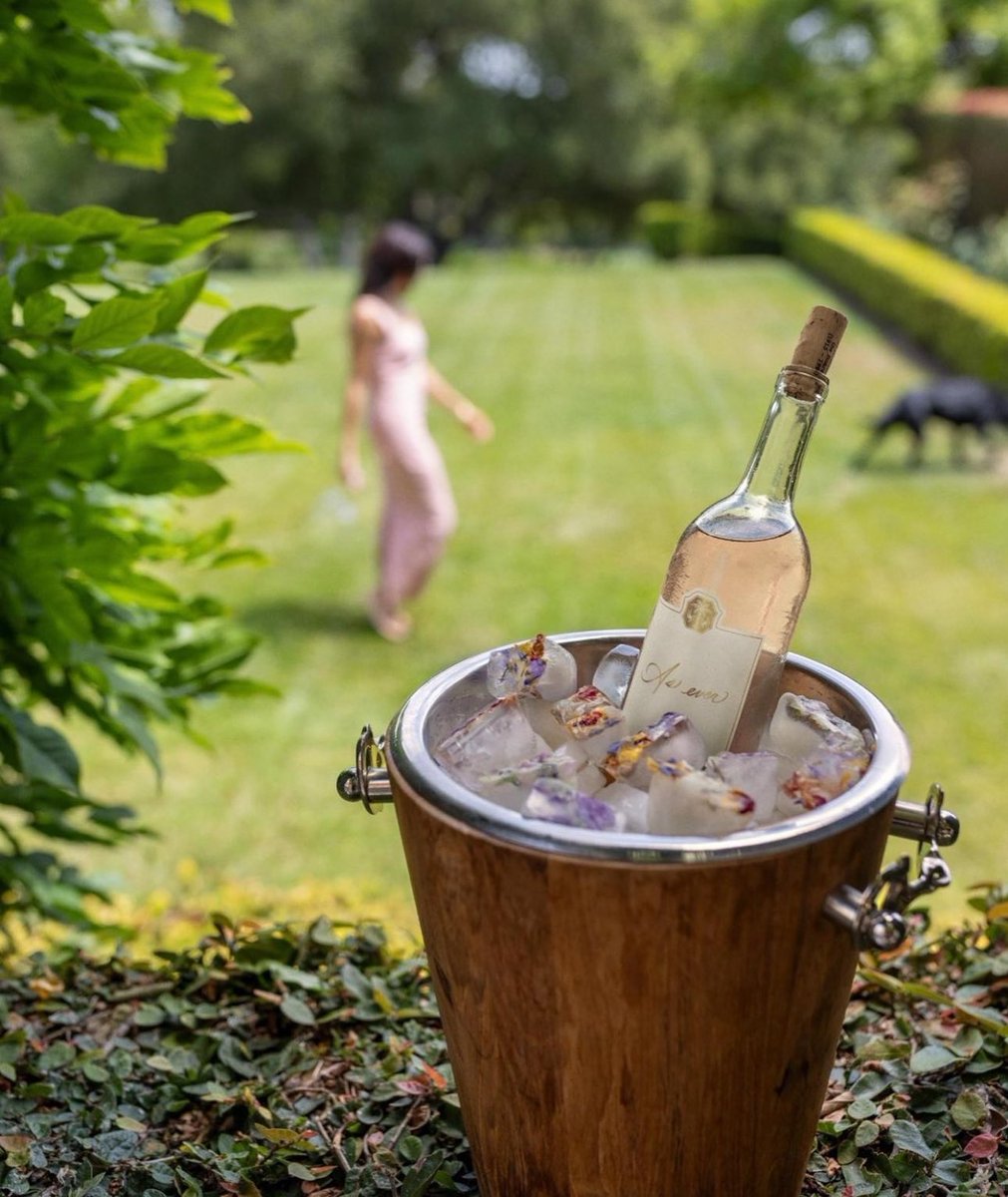 MauvCoui's tweet image. The truth is
#AsEverProductsSoldOut
#AsEverRoséSoldOut in 48 minutes, thousands of units
#AsEverByMeghanThriving
Sussex Family Thriving