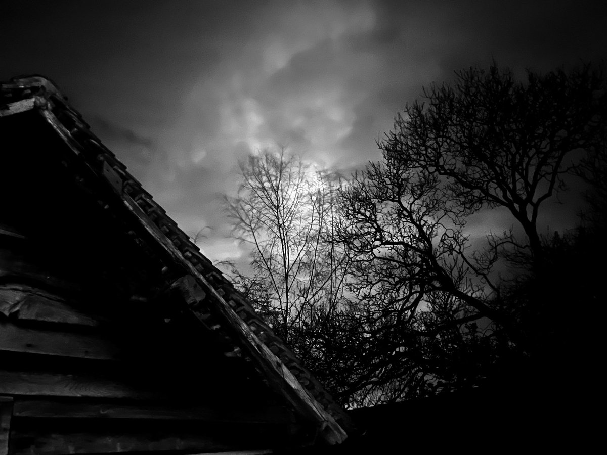 ollibrocNFT's tweet image. A lovely end to a lovely day
Thank you @sashelka for collecting the last edition of "looking beyond", much appreciated