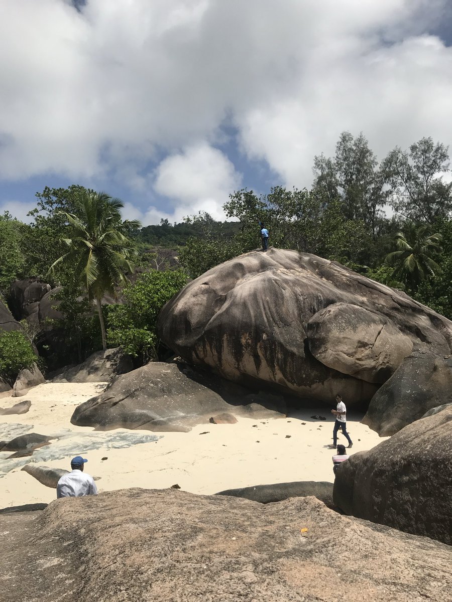 Veganhippo21's tweet image. I use to go to Seychelles every 3 months.
Turks and Caicos are nice but Sehshelles unreal.
As a beach pro that’s one thing I know.
And no Hawaii is not up there.