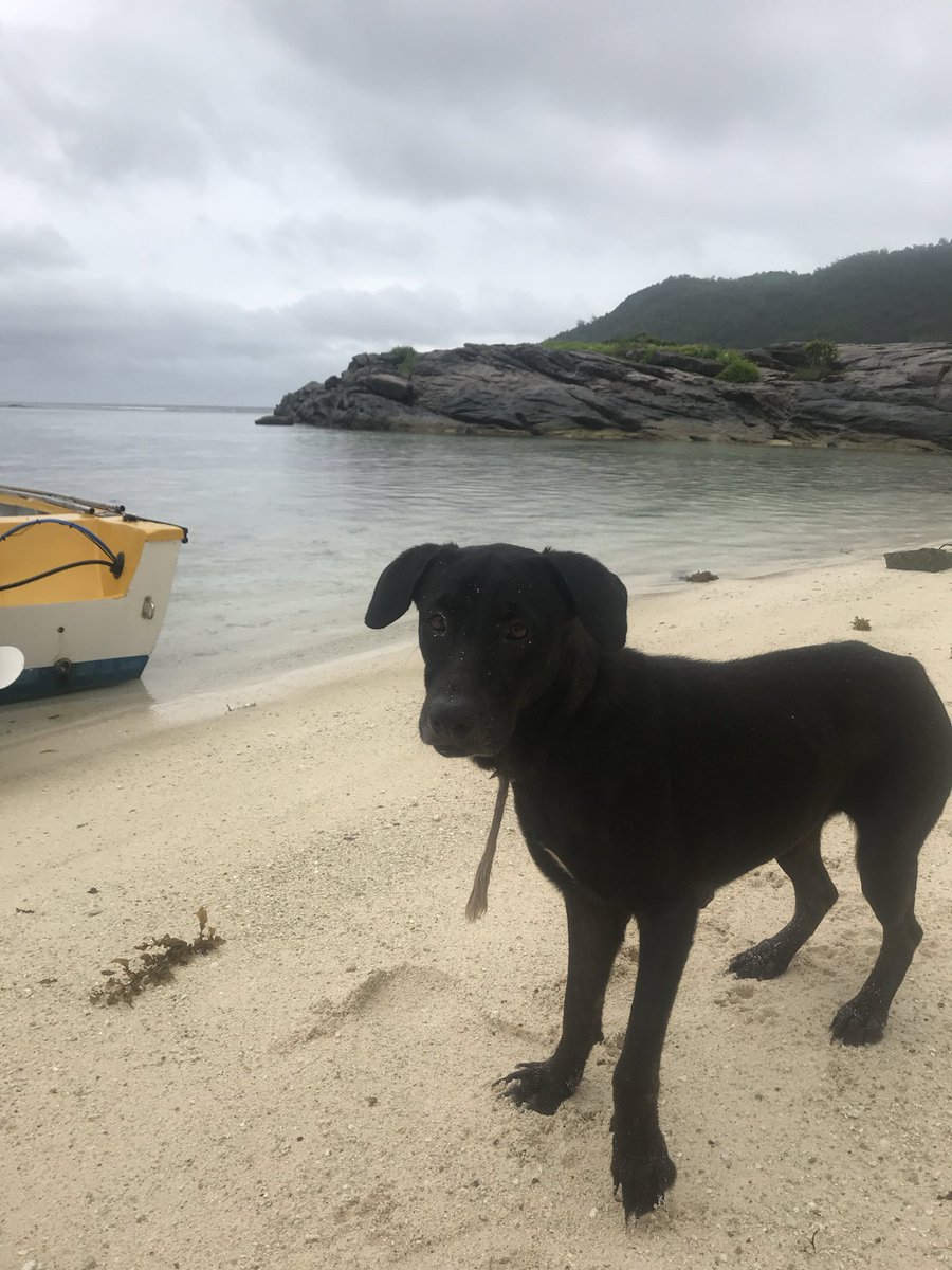 Veganhippo21's tweet image. I use to go to Seychelles every 3 months.
Turks and Caicos are nice but Sehshelles unreal.
As a beach pro that’s one thing I know.
And no Hawaii is not up there.