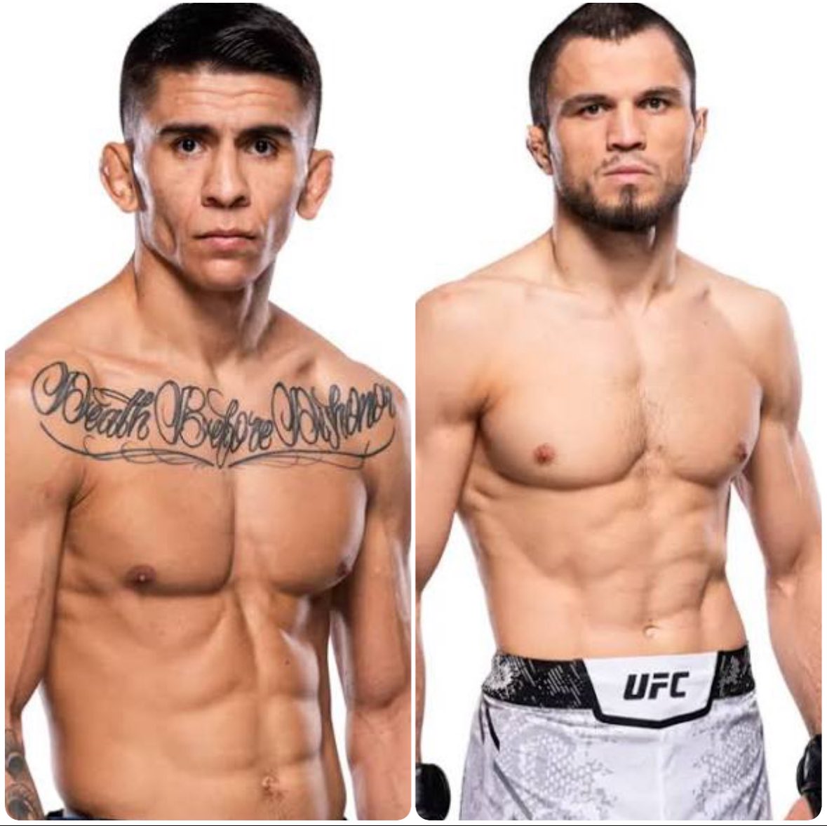 Tuck 🤜🏻 tweet media