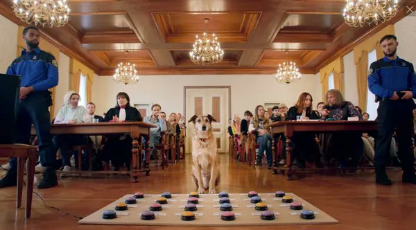 EyeForFilm's tweet image. As it's about to open in the US, we take a second look at courtroom comedy/drama Dog On Trial (aka Le Proces Du Chien), whose star won last year's Palm Dog award eyeforfilm.co.uk/review/dog-on-…