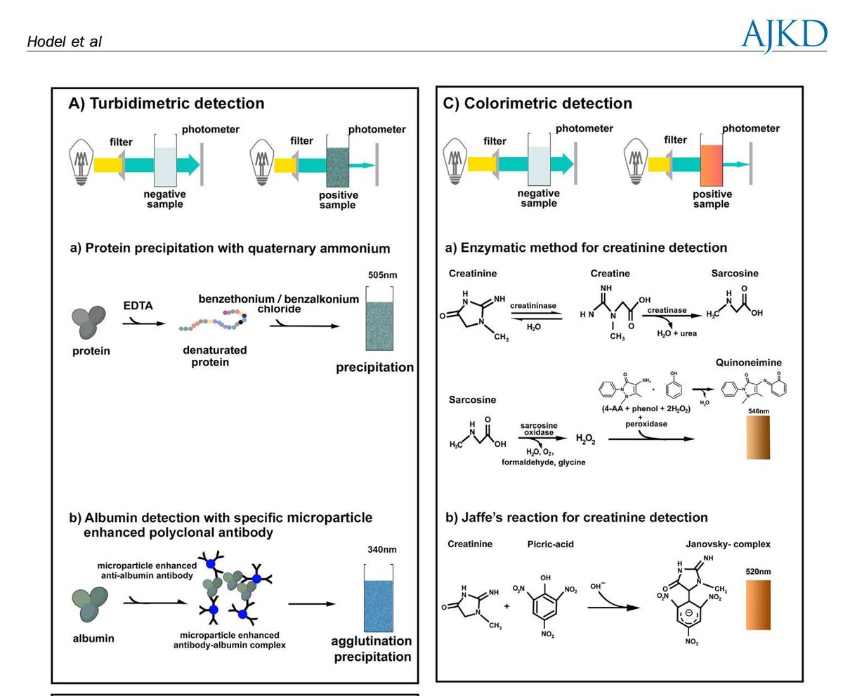 AJKDonline's tweet image. Review by Nikolai Carl Hodel, Katharina M. Rentsch, Daniel Henry Paris, and Michael Mayr:

Methods for Diagnosing Proteinuria: When to Use Which Test, and Why 

bit.ly/Hodel25Rev (FREE)