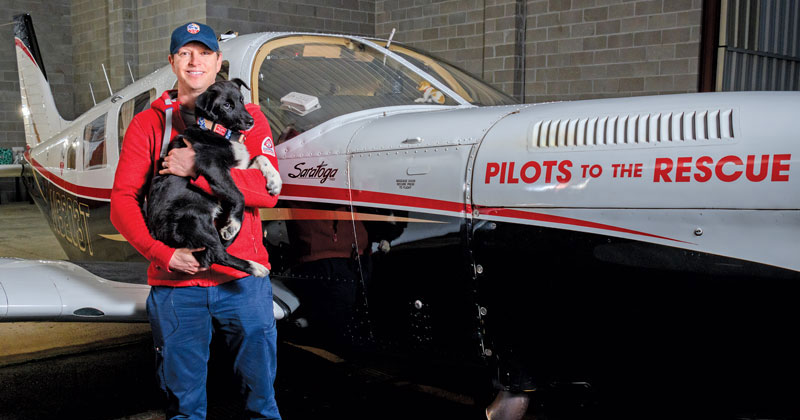 This NYC pilot has flown nearly 4,500 animals out of overcrowded shelters to safety.
His nonprofit, Pilots to the Rescue, is saving lives with every mile. Would you join a mission like this? Read more: nypost.com/2025/06/27/lif…

#AnimalRescue #PilotsToTheRescue #AdoptDontShop