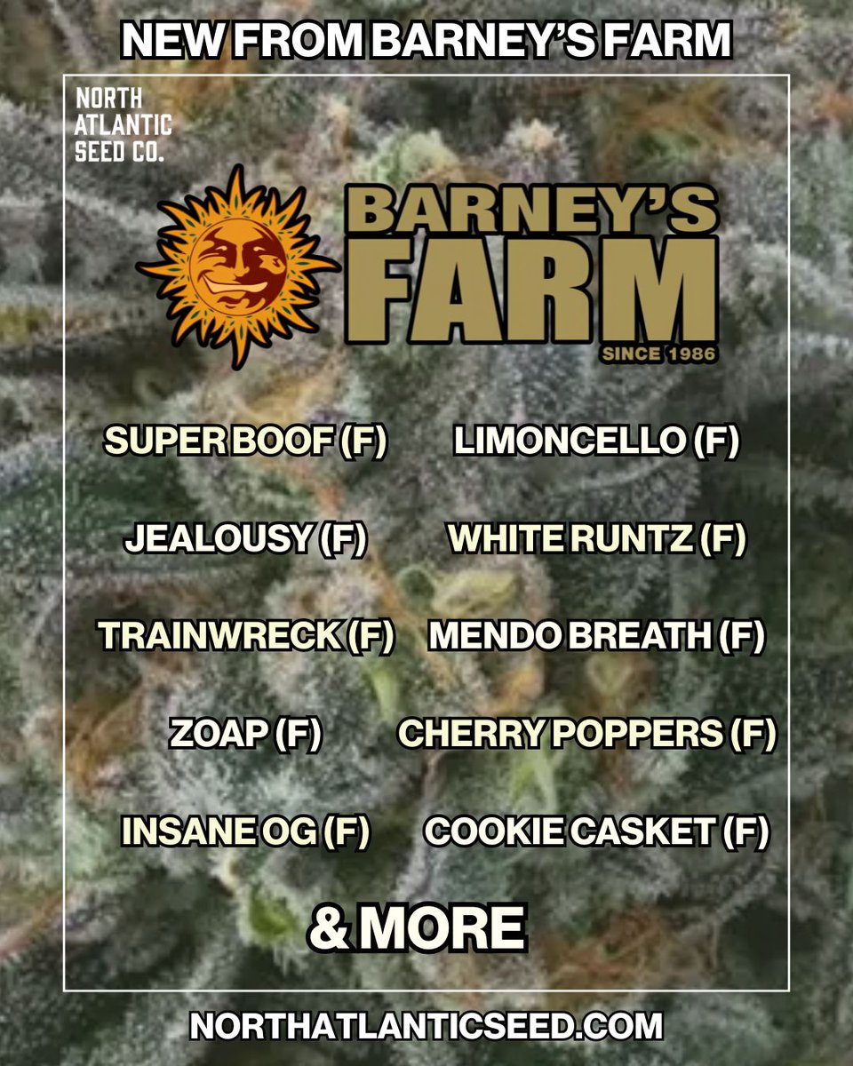 New Barney's Farm Strains Available Now! ☀️

16 New Strains On Our Menu! 👀

No sales through social media