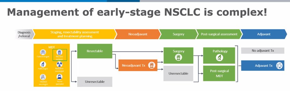 JVelottaMD's tweet image. Really love these slides by @CharuAggarwalMD and Dr. Anne Gonzalez on breaking it down in a simplistic way about the complex neoadjuvant/periop/adjuvant early stage NSCLC treatment and EBUS/EUS staging and what nodes are accessible @accpchest @atstoa @atscommunity @NLCRTnews