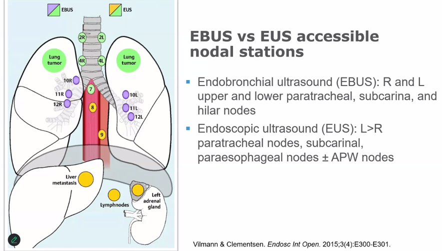 JVelottaMD's tweet image. Really love these slides by @CharuAggarwalMD and Dr. Anne Gonzalez on breaking it down in a simplistic way about the complex neoadjuvant/periop/adjuvant early stage NSCLC treatment and EBUS/EUS staging and what nodes are accessible @accpchest @atstoa @atscommunity @NLCRTnews
